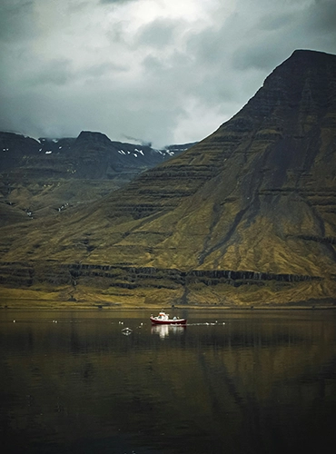 bianca-fazacas-AIDSY2kFTW8-unsplash copia