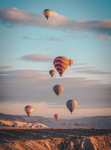 dmitri-zotov-iD9SfMtOzK8-unsplash copia